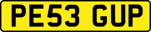 PE53GUP