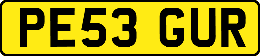 PE53GUR