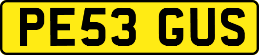 PE53GUS