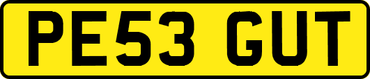 PE53GUT