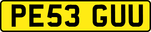 PE53GUU