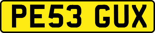 PE53GUX