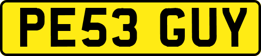 PE53GUY