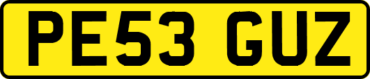 PE53GUZ