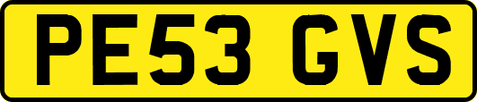 PE53GVS