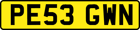 PE53GWN