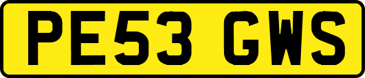 PE53GWS