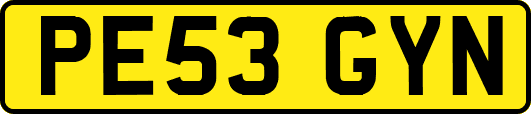 PE53GYN