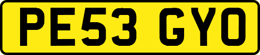 PE53GYO