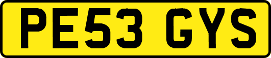 PE53GYS