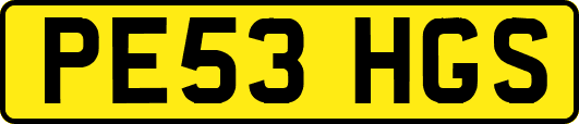 PE53HGS