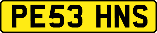 PE53HNS