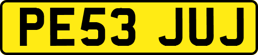 PE53JUJ
