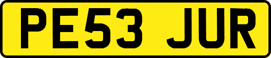 PE53JUR