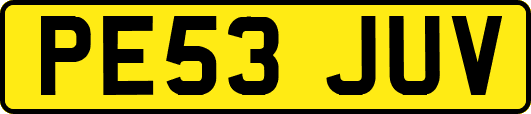 PE53JUV