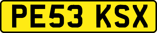 PE53KSX