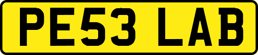 PE53LAB
