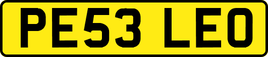 PE53LEO