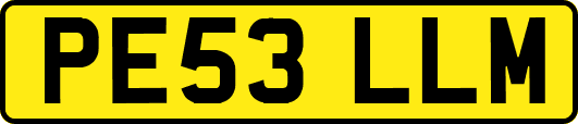 PE53LLM