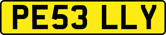 PE53LLY