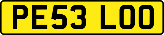 PE53LOO