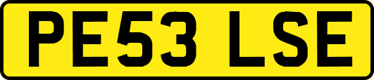 PE53LSE