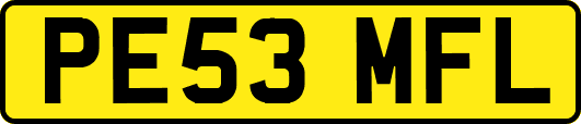 PE53MFL