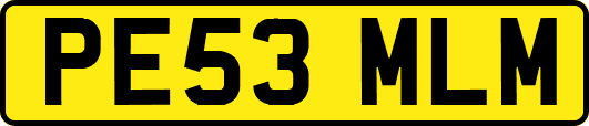 PE53MLM