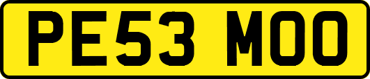 PE53MOO