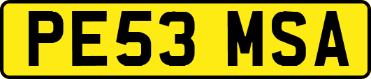 PE53MSA