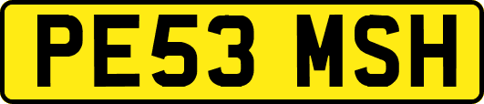 PE53MSH