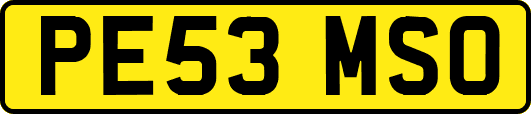 PE53MSO