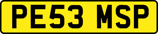 PE53MSP
