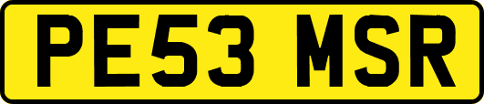 PE53MSR