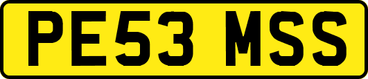 PE53MSS