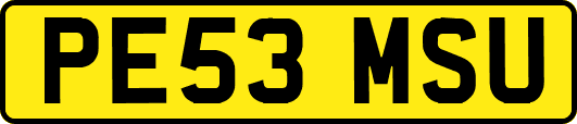 PE53MSU