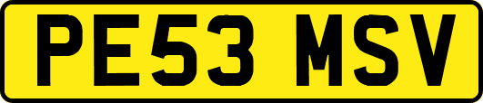 PE53MSV