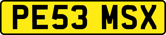 PE53MSX