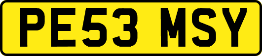 PE53MSY