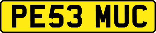PE53MUC
