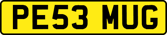 PE53MUG