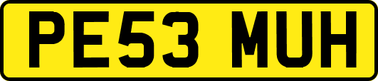PE53MUH