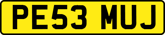 PE53MUJ