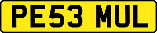 PE53MUL