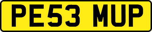PE53MUP