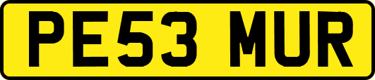 PE53MUR