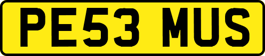 PE53MUS