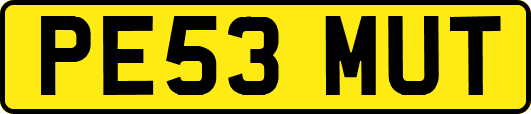 PE53MUT