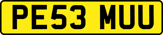 PE53MUU