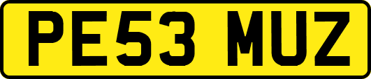 PE53MUZ